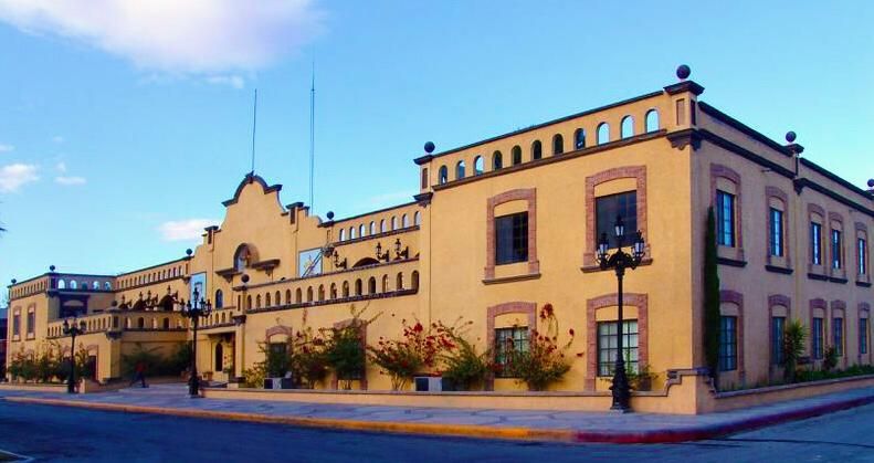 Odoo • Texto e imagen